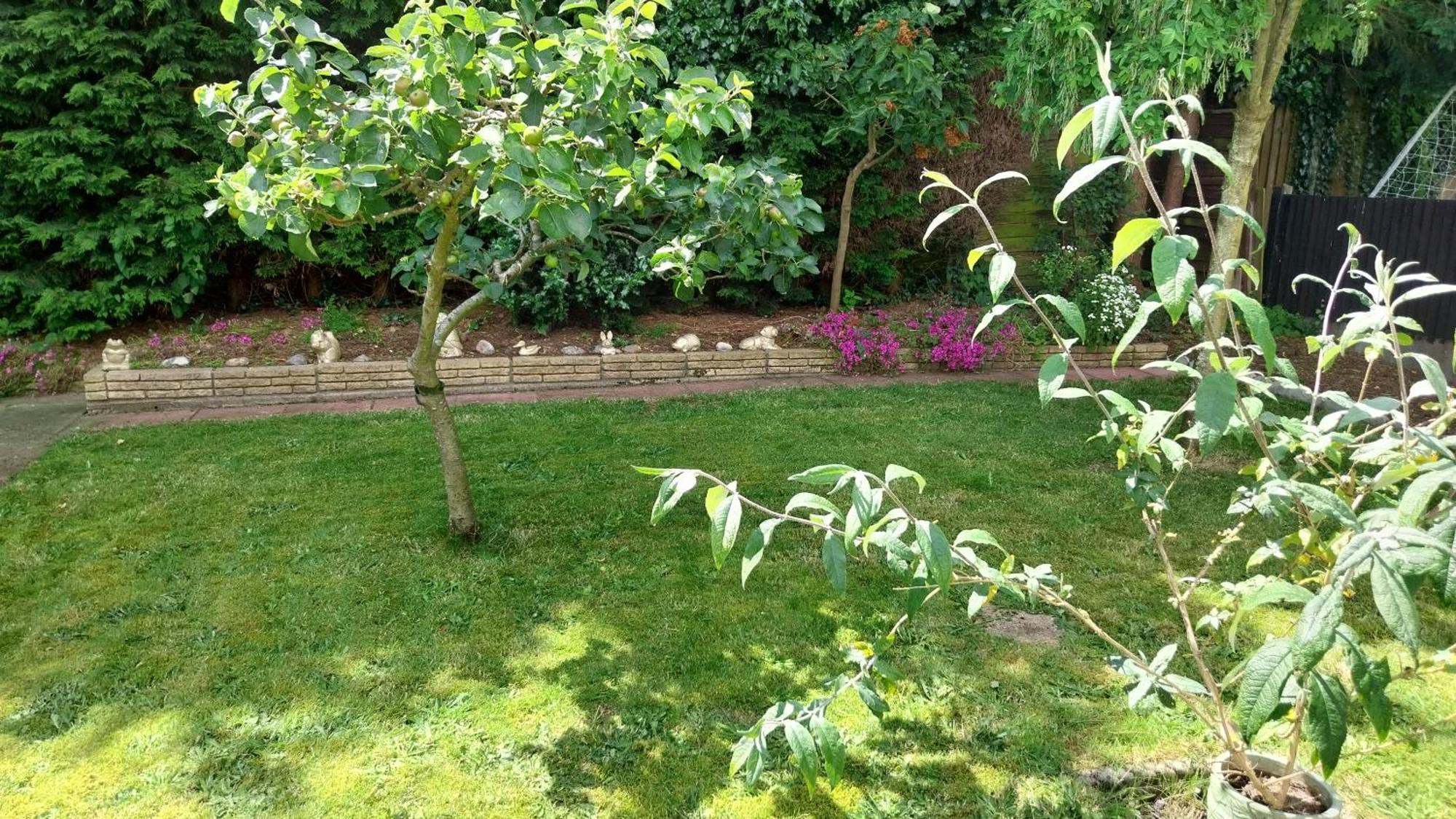 Beautiful 3-Bed Bungalow Kessingland Rural Retreat Lowestoft Esterno foto